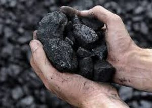 Coal asimats